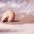 Navigating the Nuances of UK Local Directories: Do’s and Don’ts for Local SEO