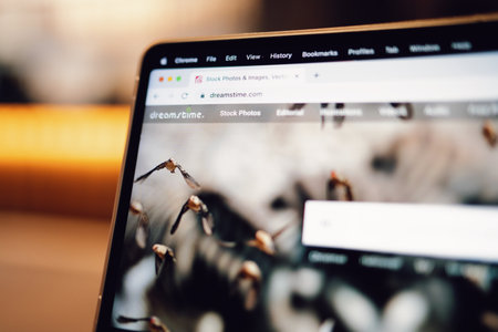 Website Speed Optimisation in the UK: Impact on SEO Rankings and User Experience