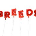 Content Refresh Best Practices for British Brands: A Detailed Strategy