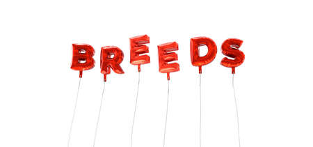 Content Refresh Best Practices for British Brands: A Detailed Strategy